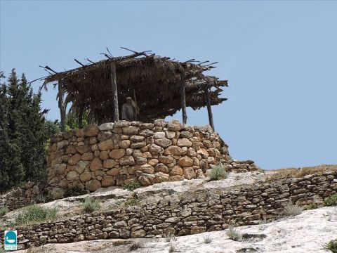 A vineyard watchtower